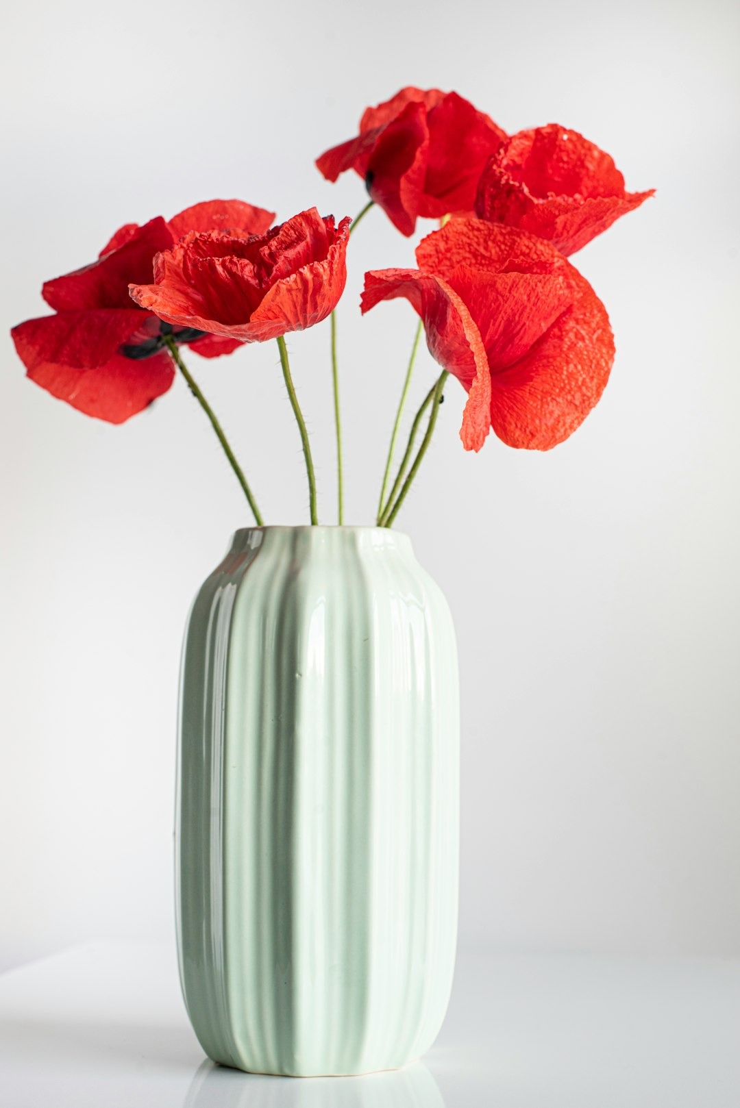 Encouragement and Tips for Family Caregivers of Seniors