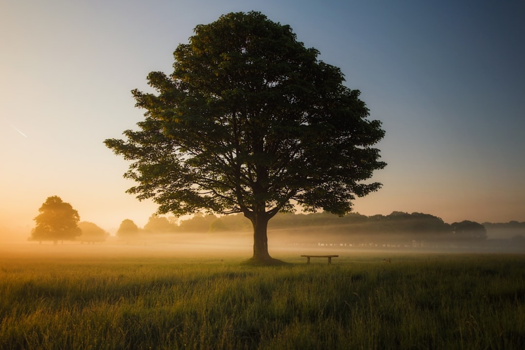 Dementia Explained: An Easy Guide